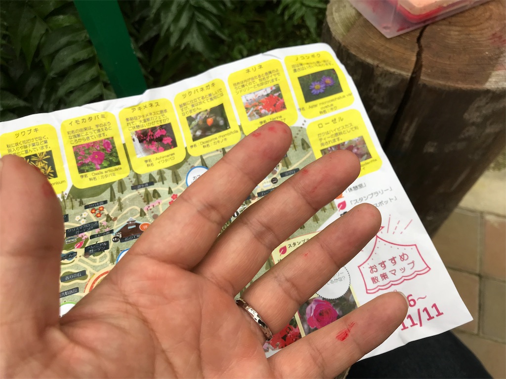 f:id:camelstation:20181124185500j:plain