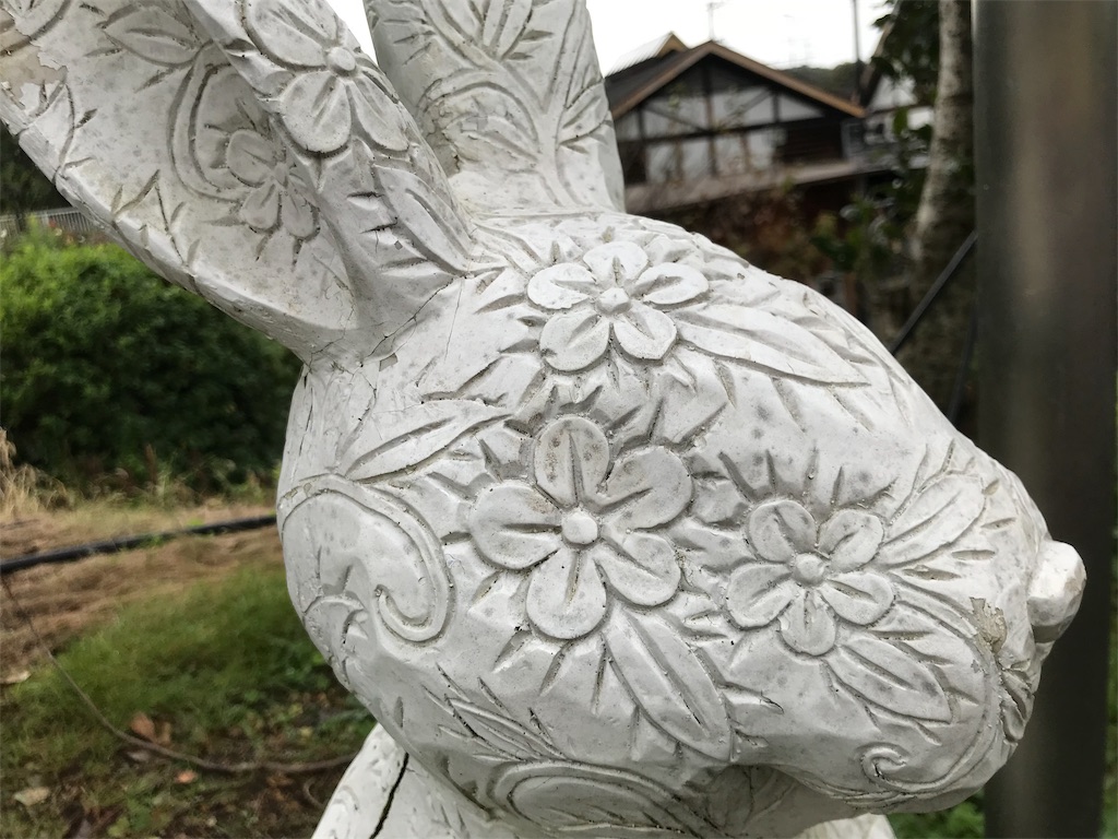 f:id:camelstation:20181124185511j:plain