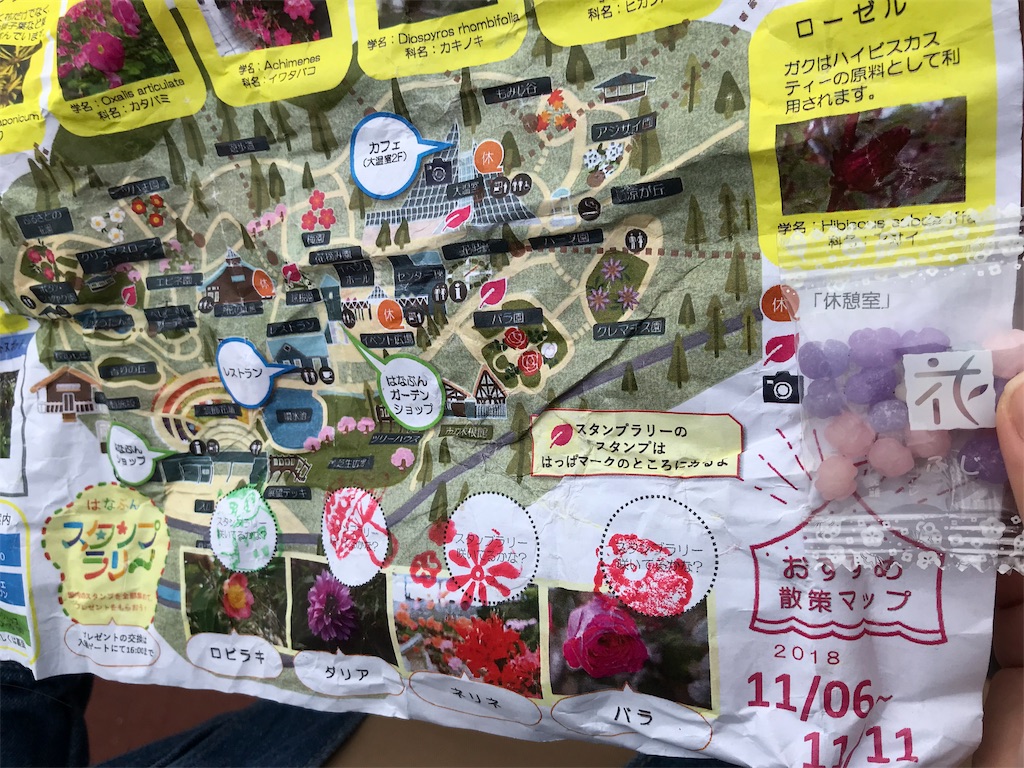 f:id:camelstation:20181125001328j:plain