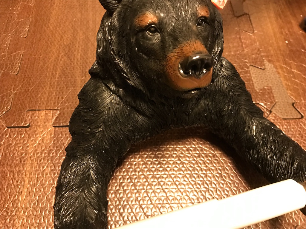 f:id:camelstation:20190103005831j:plain