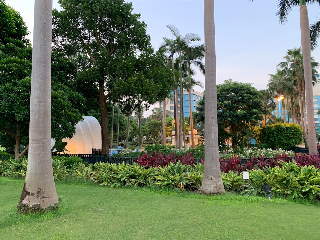 f:id:camelstation:20190728134637j:plain f:id:camelstation:20190728134637j:plain