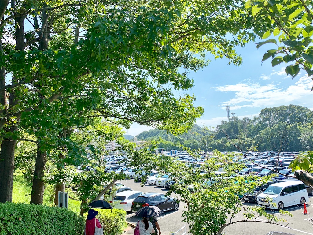 f:id:camelstation:20190827192532j:plain