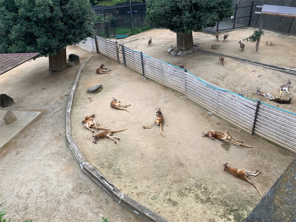 f:id:camelstation:20190827215506j:plain