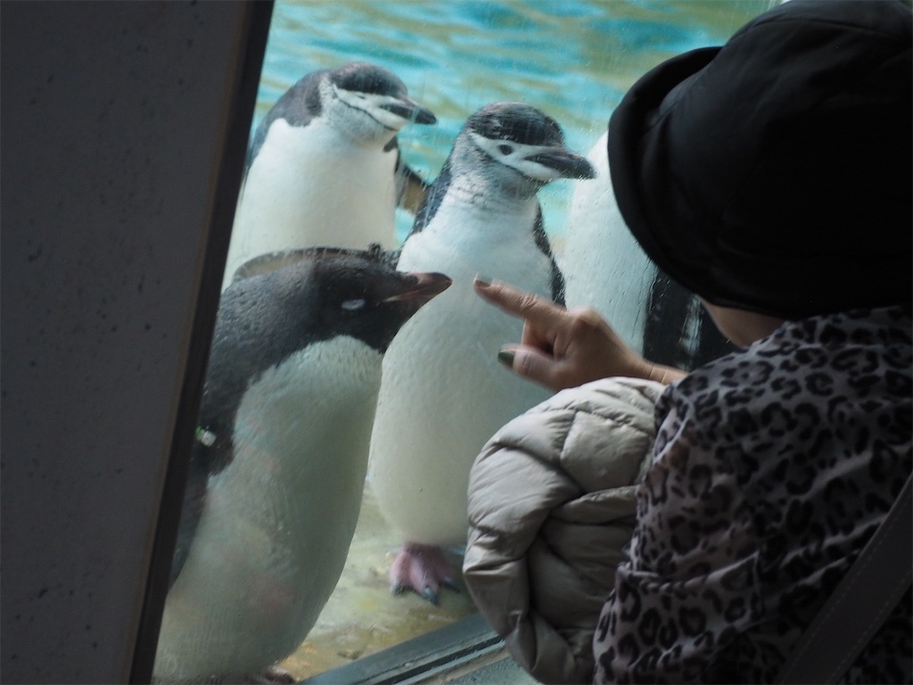 f:id:camelstation:20191212051130j:plain f:id:camelstation:20191212051130j:plain