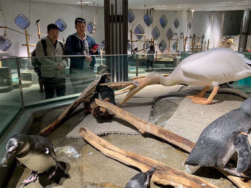 f:id:camelstation:20191216011044j:plain