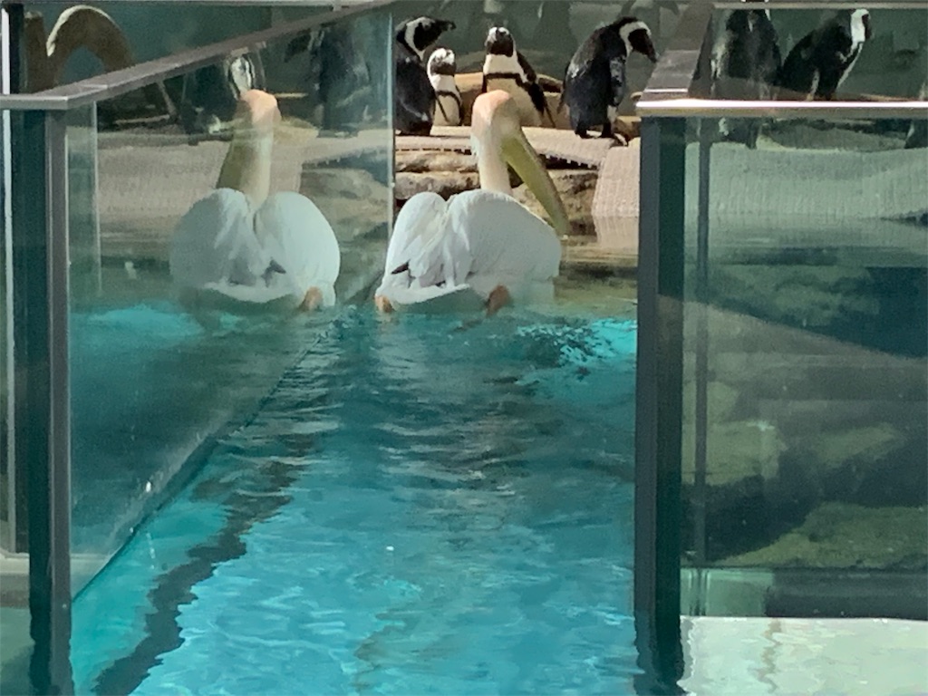 f:id:camelstation:20191216011133j:plain f:id:camelstation:20191216011133j:plain