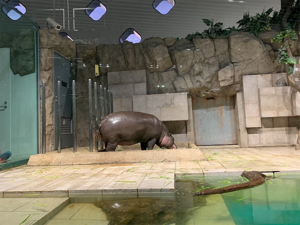 f:id:camelstation:20191216011311j:plain