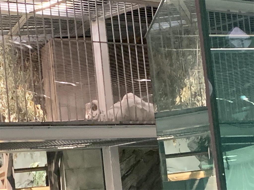 f:id:camelstation:20191216011323j:plain