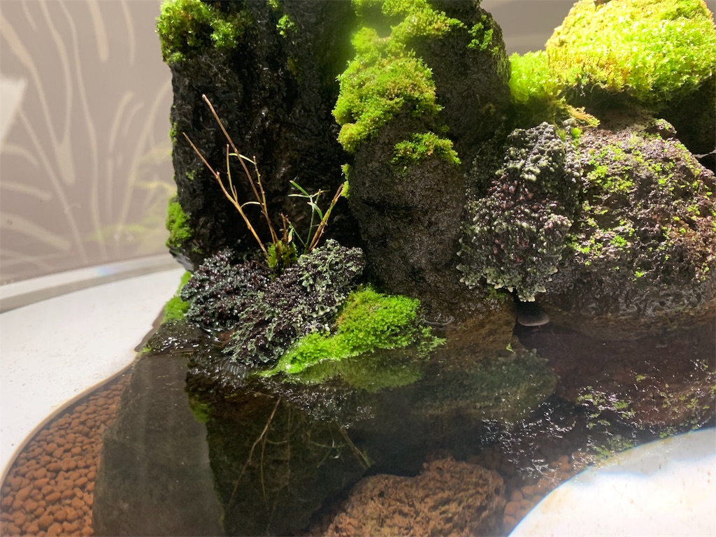 f:id:camelstation:20191216011522j:plain