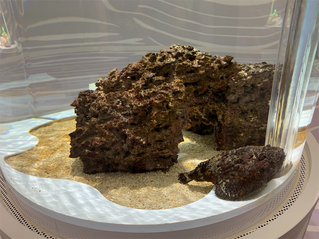 f:id:camelstation:20191216011527j:plain