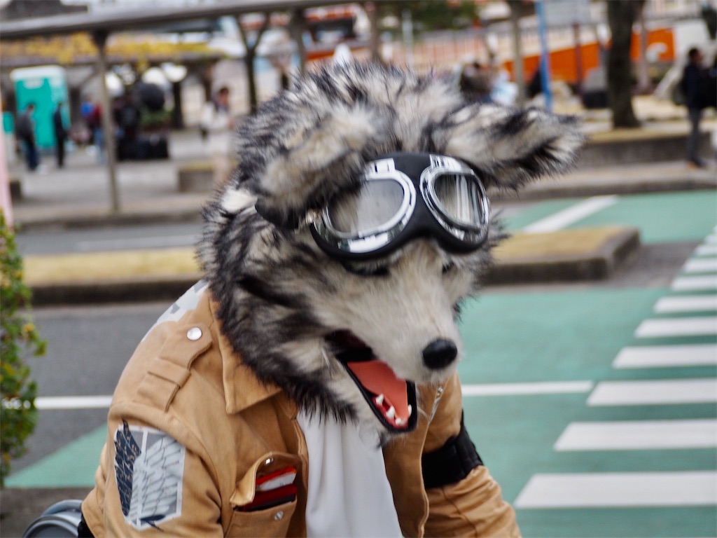 f:id:camelstation:20191230203941j:plain