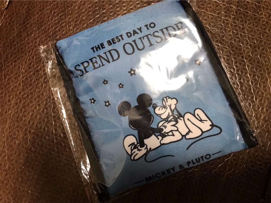 f:id:camelstation:20200101154242j:plain