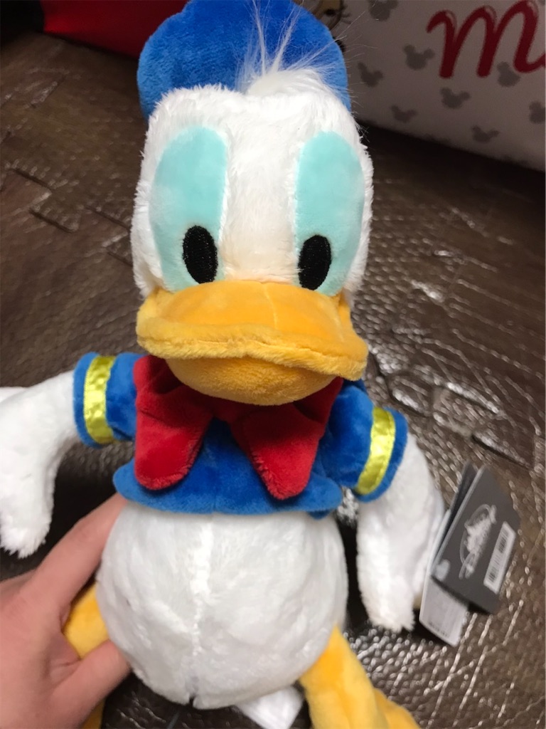 f:id:camelstation:20200101154306j:plain