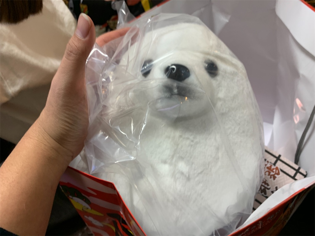 f:id:camelstation:20200101184844j:plain