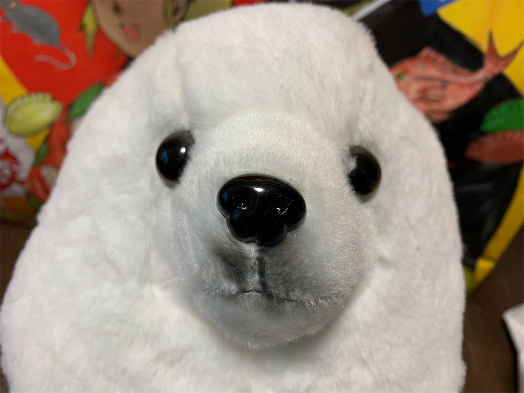 f:id:camelstation:20200101214835j:plain