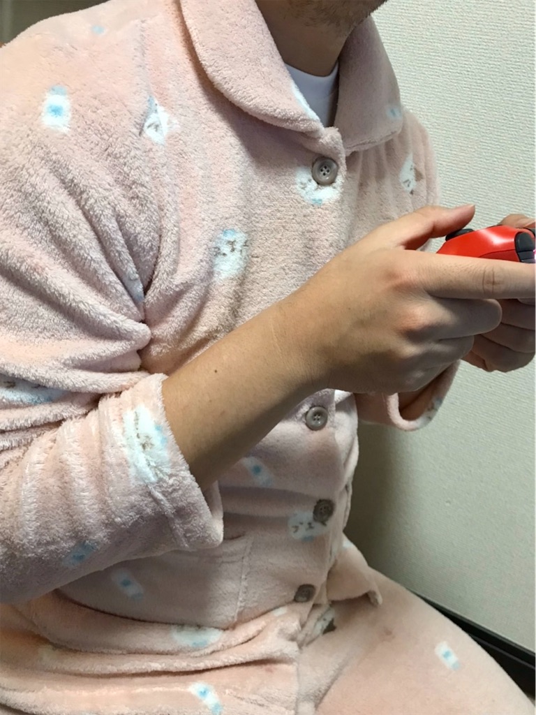 f:id:camelstation:20200103031020j:plain