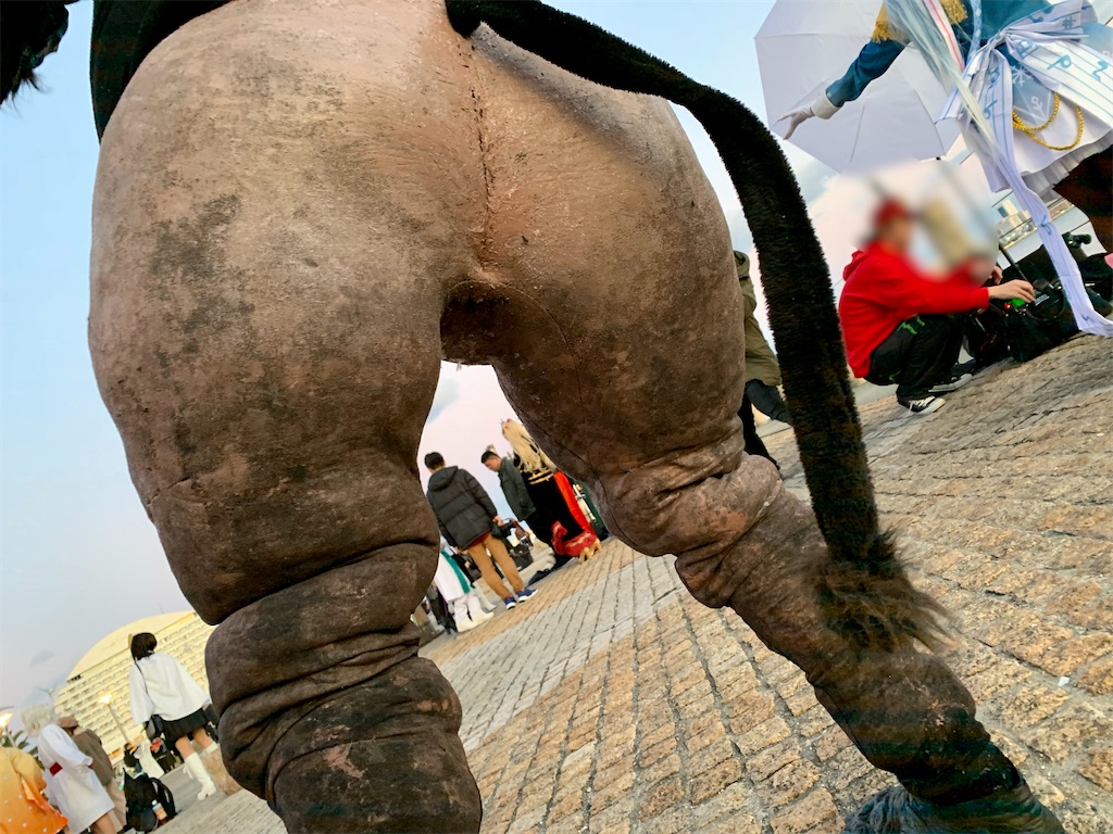 f:id:camelstation:20200111202447j:plain f:id:camelstation:20200111202447j:plain