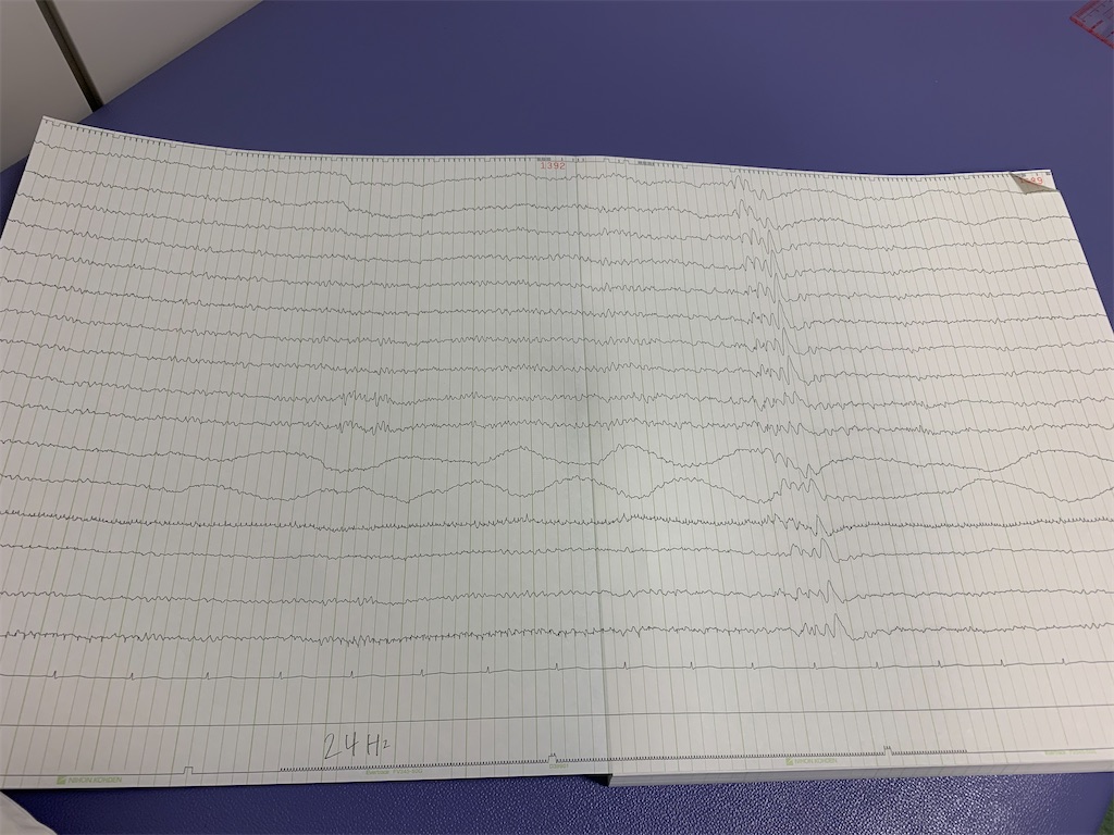 f:id:camelstation:20200303030108j:plain