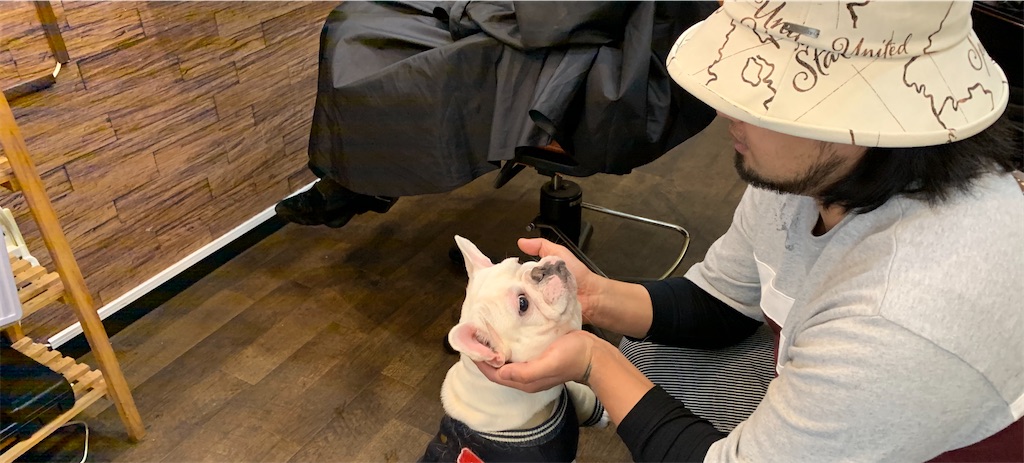 f:id:camelstation:20200303232202j:plain