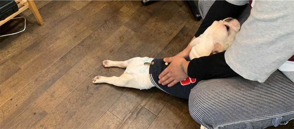 f:id:camelstation:20200303232215j:plain