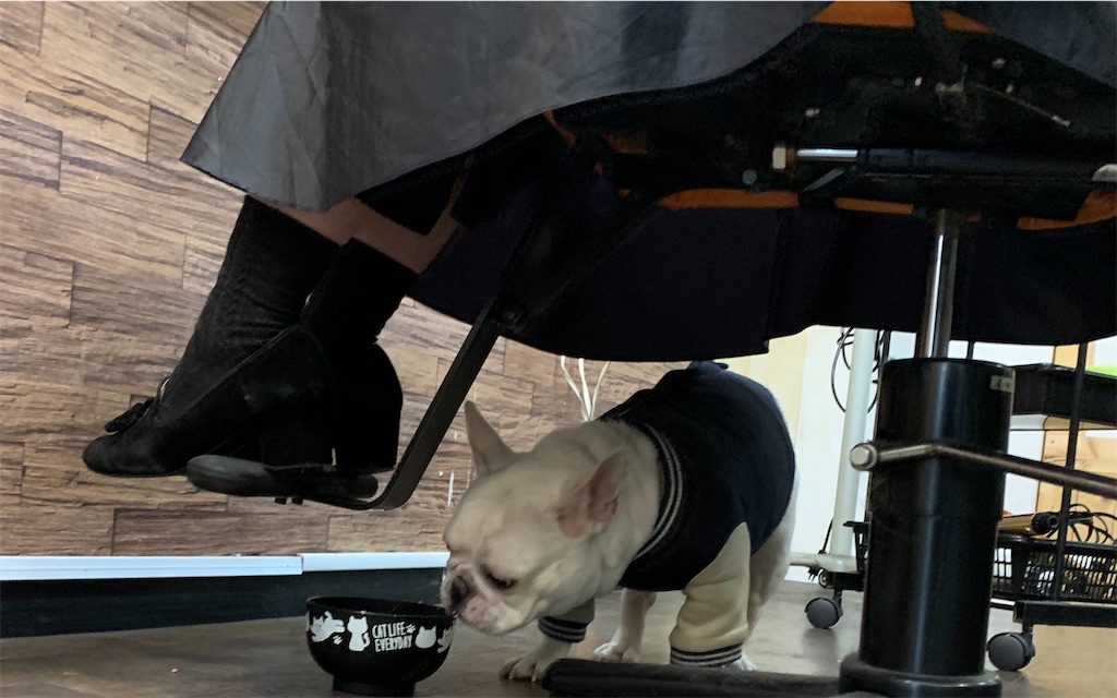 f:id:camelstation:20200304000807j:plain