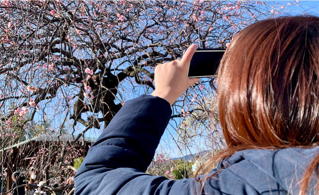 f:id:camelstation:20200305162210j:plain