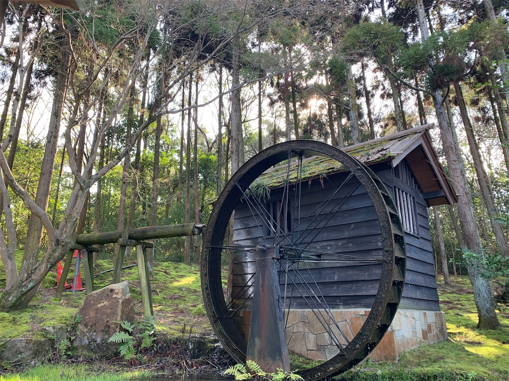 f:id:camelstation:20200305162222j:plain