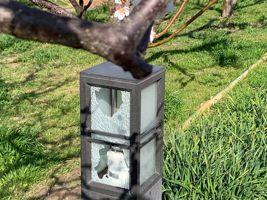 f:id:camelstation:20200305163053j:plain