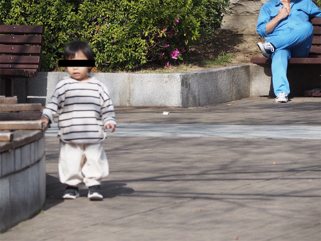 f:id:camelstation:20200401223318j:plain