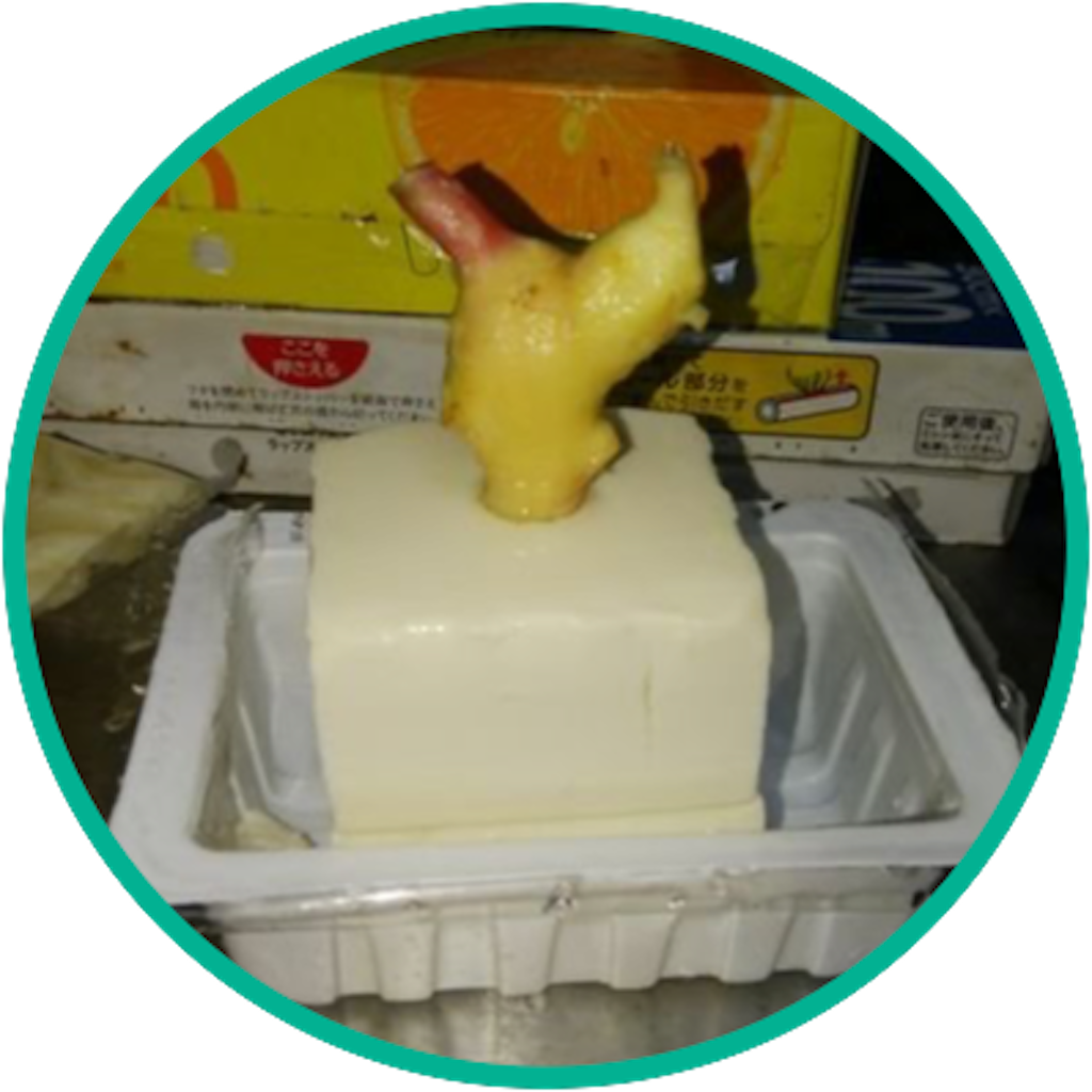 f:id:camelstation:20200405230435p:plain