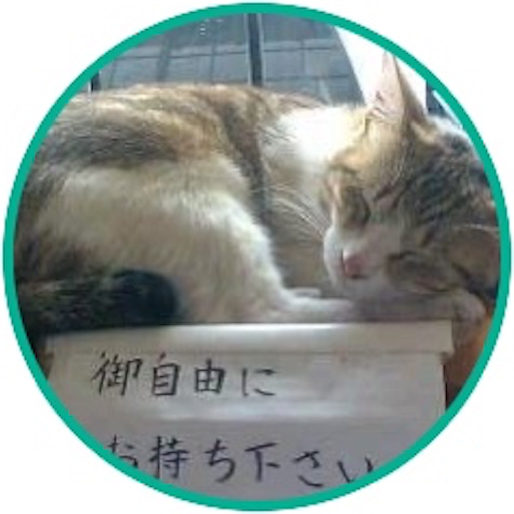 f:id:camelstation:20200405234211j:plain