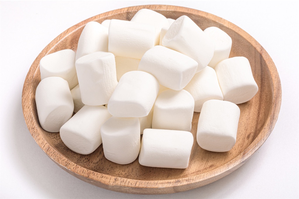 f:id:camelstation:20210323004912j:plain