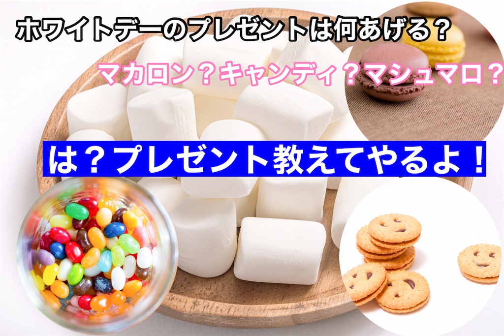 f:id:camelstation:20210323005604j:plain