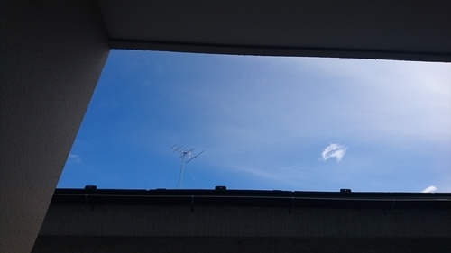 f:id:camelulu:20190816234333j:plain