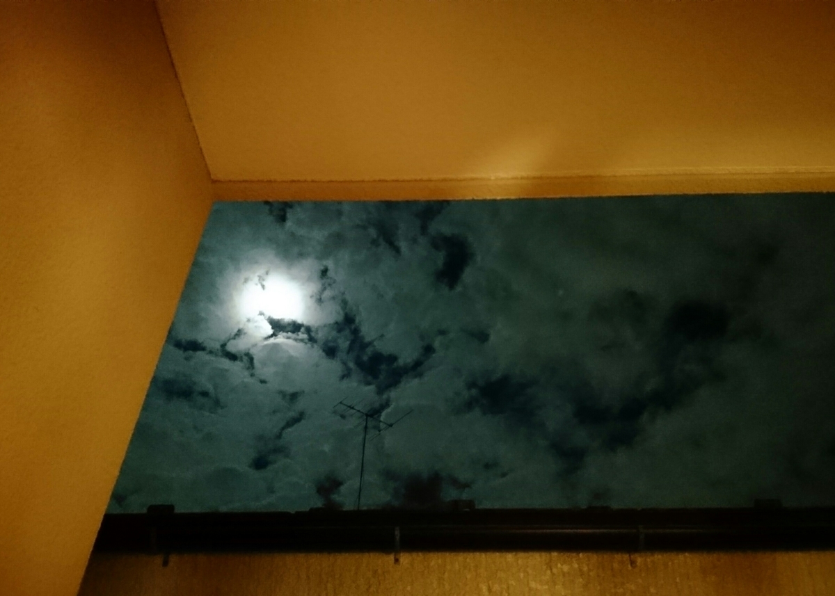 f:id:camelulu:20190928004011j:plain