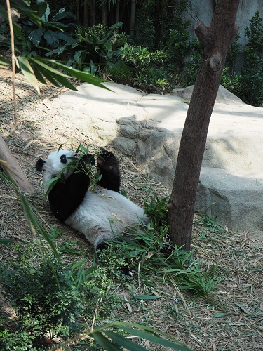 f:id:camelulu:20191115162307j:plain