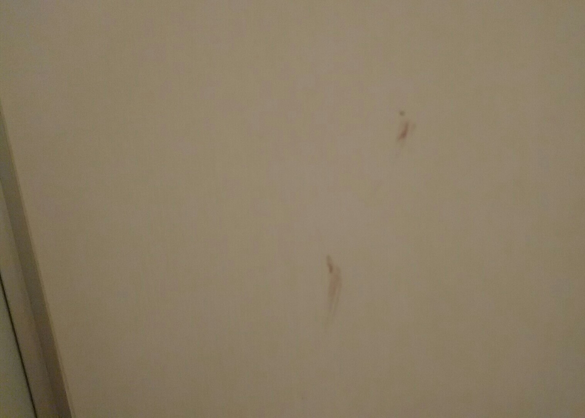 f:id:camelulu:20191118155052j:plain