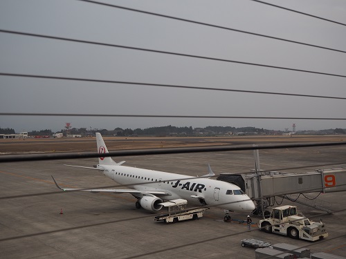 f:id:camelulu:20200211173443j:plain