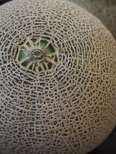 f:id:camelulu:20200608185523j:plain