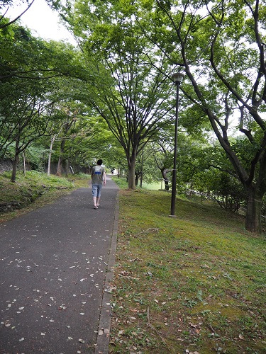 f:id:camelulu:20200826002738j:plain