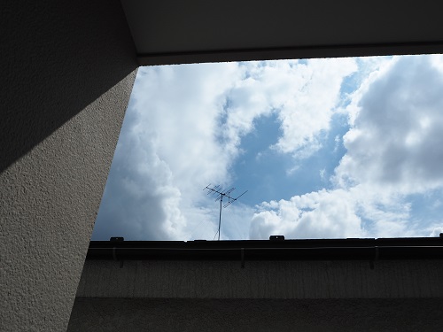 f:id:camelulu:20200904232237j:plain