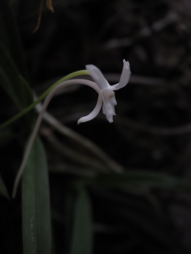 f:id:camelulu:20201011174637j:plain