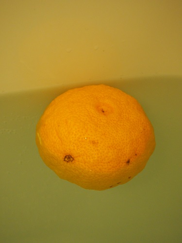 f:id:camelulu:20201222220253j:plain