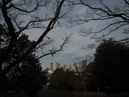 f:id:camelulu:20210112160837j:plain