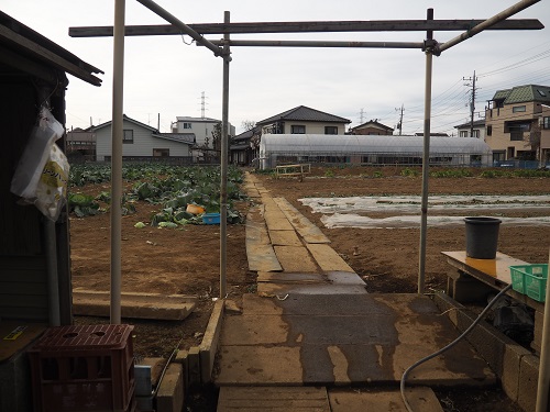 f:id:camelulu:20210112160907j:plain