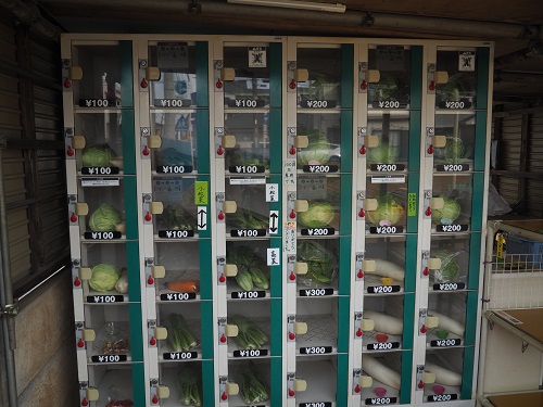 f:id:camelulu:20210112160920j:plain