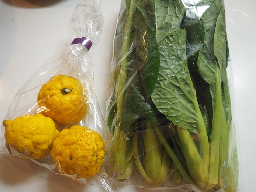 f:id:camelulu:20210112160933j:plain