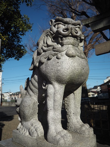 f:id:camelulu:20210131231813j:plain