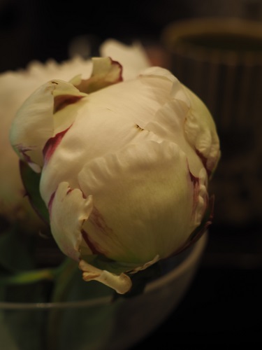 f:id:camelulu:20210510221253j:plain