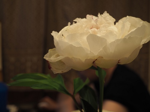 f:id:camelulu:20210510234911j:plain